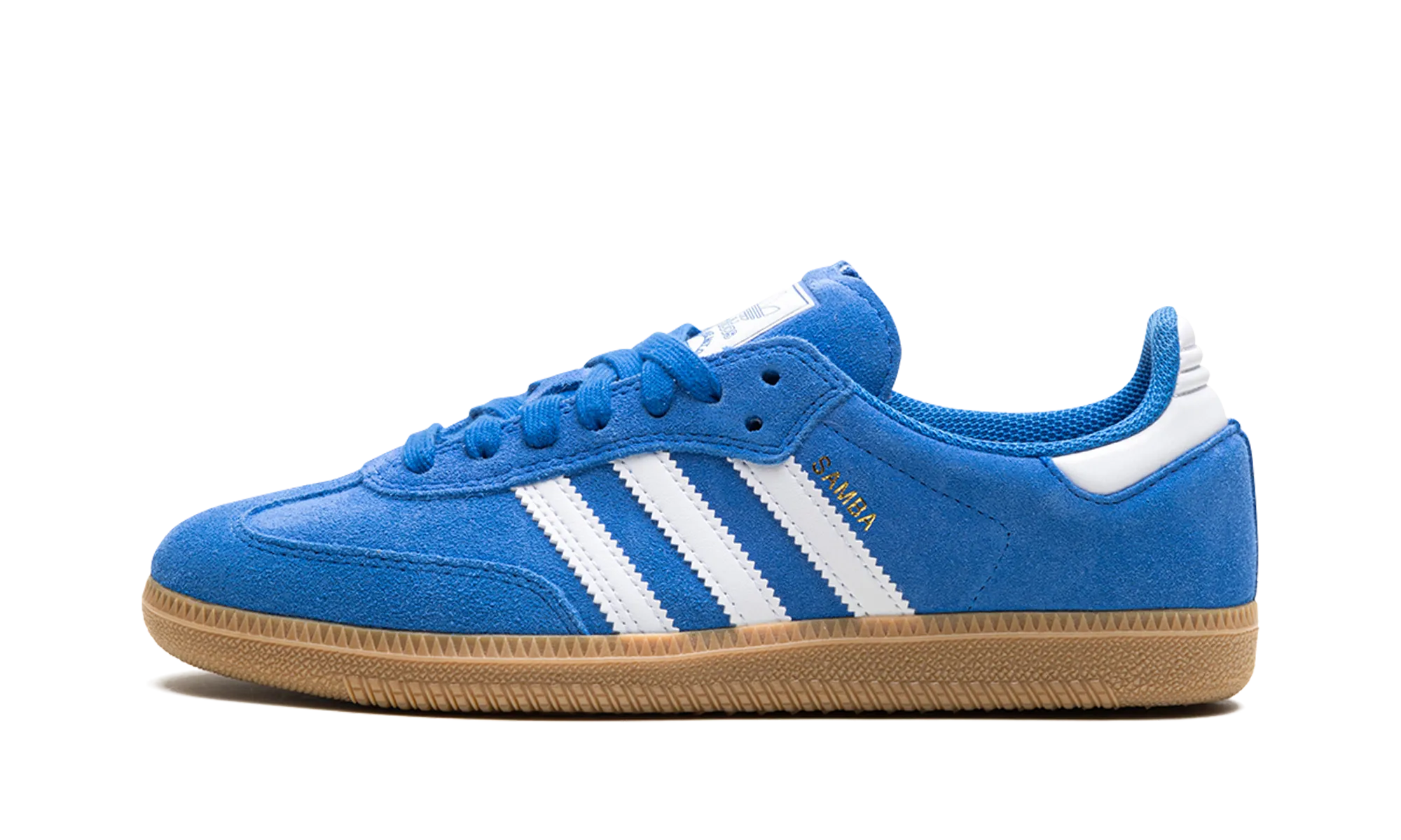 Everyday Gear Samba Adv "Blue Bird"
