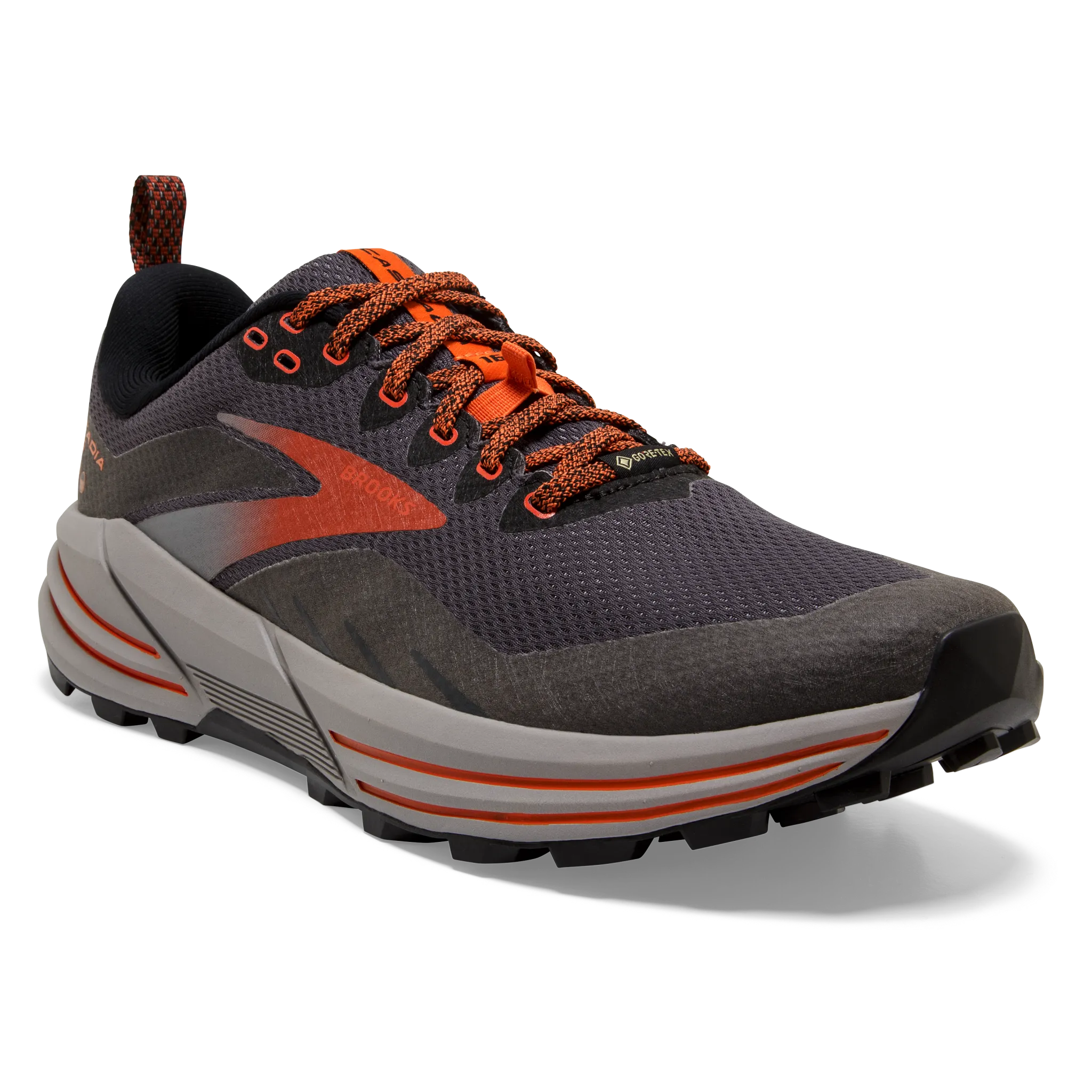 running in the mountains Men's Cascadia 16 GTX